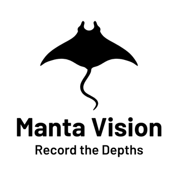MantaVision